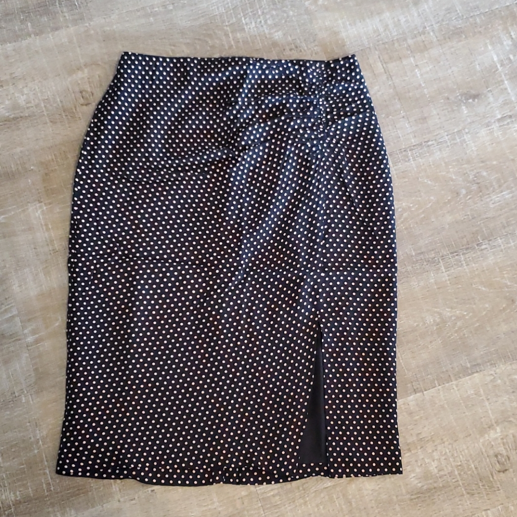 Ann Taylor Polka Dot Skirt Nwt